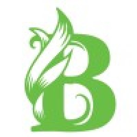 Bravixa Solutions logo - Similar company to Bravixa Solution