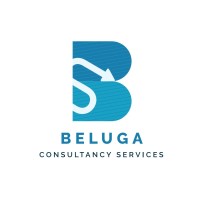 Beluga Consultancy Services Private Limited logo - Similar company to Nextgen Tech