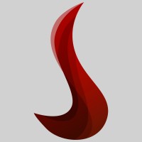 Skaikru logo - Similar company to Core Confidence