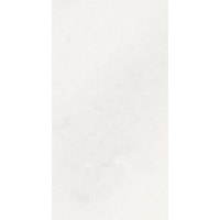 Poeket.ai logo - Similar company to Quantanc