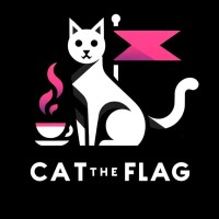 CatTheFlag logo - Similar company to Cyberwave