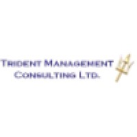 Trident Management Consulting Ltd. logo - Similar company to Vy Services Management Limited