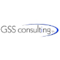 GSS Consulting SA logo - Similar company to Revive Management