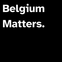 Belgium Matters | The Belgian political newsletter logo - Similar company to Vincit Capital