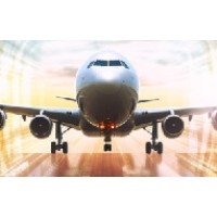 Intelwings logo - Similar company to Scale Company