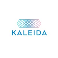 Kaleida Networks