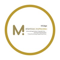 MEdge Strategic Partnering Group logo - Similar company to Optimal Control Systems (Pty) Ltd