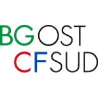 BG OST-SÜD Bürgschaftsgenossenschaft für KMU logo - Similar company to Hofer Engineering Ag