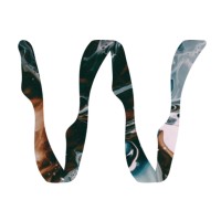 Wander Island logo - Similar company to Evrgreen Studio