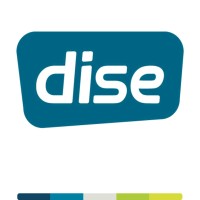 Dise logo - Similar company to Lemon Render
