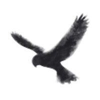 Stephenson Executive Search logo - Similar company to Adjacency Executive Search