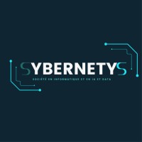Sybernetys logo - Similar company to Didamind