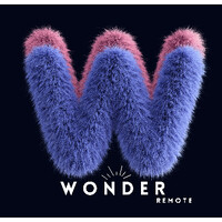 Wonder Remote© logo - Similar company to Hibou Data