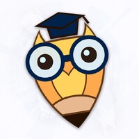 Digital Scholar Solutions logo - Similar company to Boom Digital