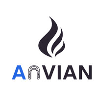 Anvian Innovations logo - Similar company to Flient