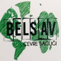 Belsav logo - Similar company to Isb Globe