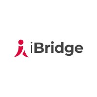 iBridge logo - Similar company to Solidleaders.Com