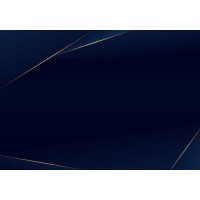 BR Private Equity logo - Similar company to Steiger Venture Partners Ag