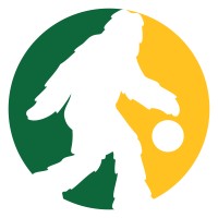 Seattle NBA Fans logo - Similar company to Seattle Supersonics