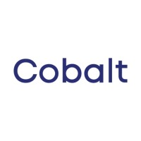 Cobalt Payments Inc. logo - Similar company to Payflo