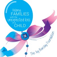 The Ivy Barclay Foundation Inc logo - Similar company to West Australian Alternative Energy