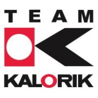 Team Polska Sp. Z o. o. logo - Similar company to Neonica Polska Sp. Z. O O.