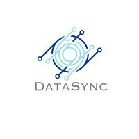 DataSync logo - Similar company to Datasync Inc.