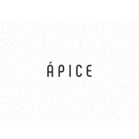 Apice logo - Similar company to Leadership Stoa