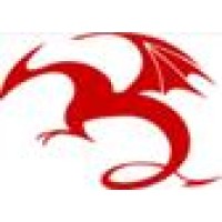 Dragon Geophysical