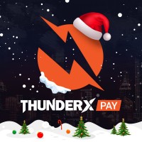 THUNDER X PAY logo - Similar company to Zendry