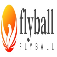 Yiwu Flyball Electronic Commerce Co.,Ltd logo - Similar company to Kwec (Kapoor'S Workshop On Effective Communication)