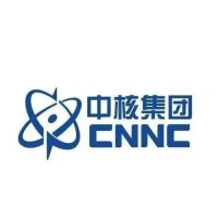 CHINA NUCLEAR POWER OPERATION TECHNOLOGY CORPORATION,LTD. logo - Similar company to Ikam (Ibn Khaldun Al Madaen Engineering Consultancy)