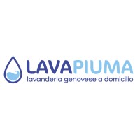 Lavapiuma.it logo - Similar company to Sirlav