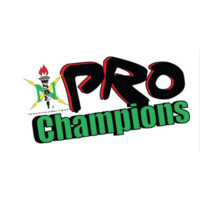 Let's Elevate , Inc -PRO Champions NSBE Jr. logo - Similar company to Synapse Science & Technology