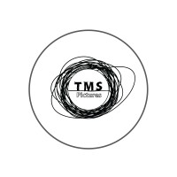 TMS Pictures logo - Similar company to Studio Rockfinch