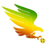 MALIFOOTBALL.COM logo - Similar company to Simbasctanzania