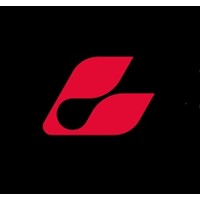 Chinatask (formerly lumna) logo - Similar company to Kalasik