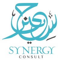 Synergy Consult logo - Similar company to The Law Code
