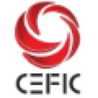 Cefic Turkey logo - Similar company to Fullog