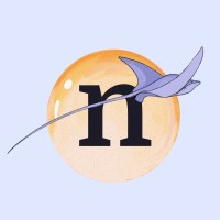 Naer logo - Similar company to Baba.Vision