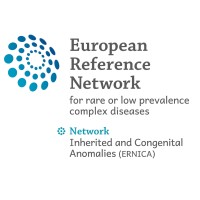 ERNICA logo - Similar company to Ipeg Surgery