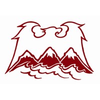 SAS Groupe NICAEA logo - Similar company to The Best Partner