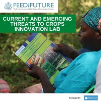 Feed the Future Innovation Lab for Current and Emerging Threats to Crops (CETC IL) logo - Similar company to World Food Forum Nepal Chapter