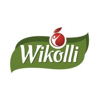 Wikolli Alimentos logo - Similar company to Agiset