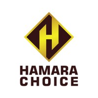 Hamara Choice logo - Similar company to Fashion Suggest