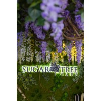 Sugar Tree Cafe logo - Similar company to Bellden Cafe