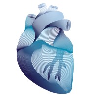 Innovation Cardiology logo - Similar company to Innovation Health Services