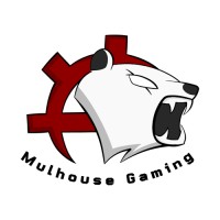 Mulhouse Gaming logo - Similar company to Alsace Esport Arena