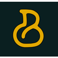 Billionaire Developers (Pvt) Ltd logo - Similar company to Tmg Ventures