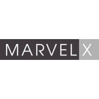 MARVEL X LIMITED logo - Similar company to A. E. Fabrics (Pvt) Ltd